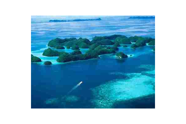 海南蜘蛛养殖场_海南蜘蛛种类