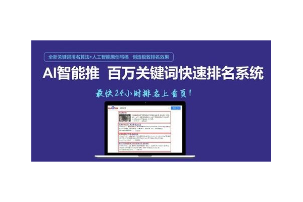 蜘蛛池优化托管