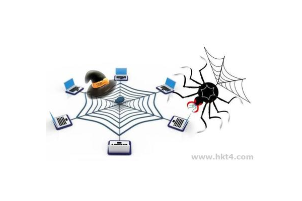 自己网站搭建蜘蛛池