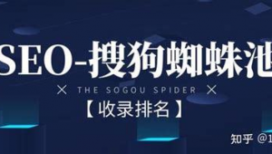 蜘蛛池技术详解图_蜘蛛池使用教程