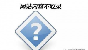 蜘蛛池真的能收录网站吗_蜘蛛池收录一般要多久
