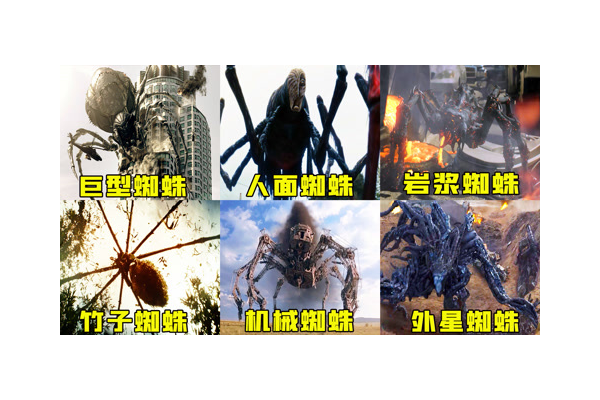 岩浆蜘蛛真实事件_岩浆蜘蛛2