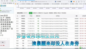 蜘蛛池新手入门_蜘蛛池提高权重