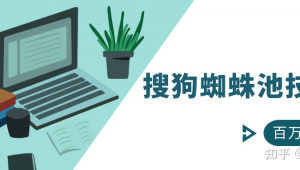 蜘蛛池的作用 知乎