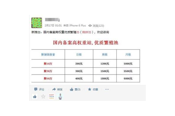 蜘蛛池出租需要多少钱一天_蜘蛛池租用