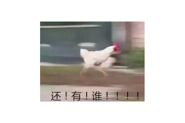 蜘蛛池有什么用_蜘蛛池到底有没有用