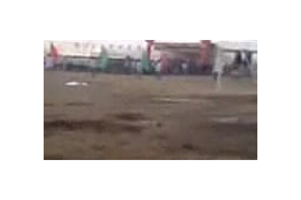 蜘蛛岭生态园怎么样_2020蜘蛛池出租