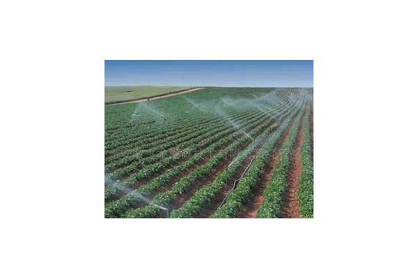 2021蜘蛛池_最蜘蛛蜘蛛池有用吗