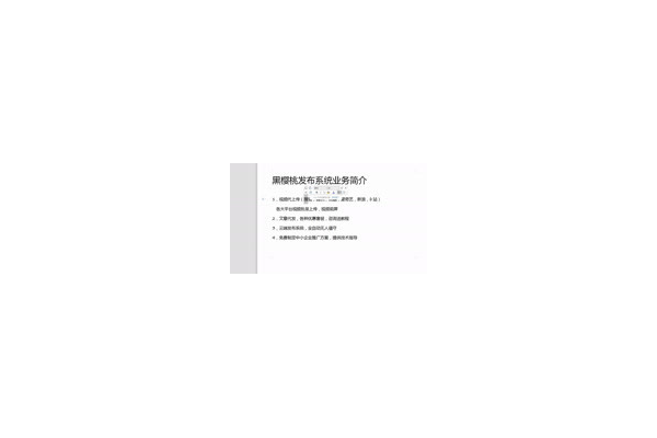 黑帽子技术网站_黑帽赚钱