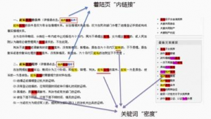 蜘蛛池技术详解教程视频_蜘蛛池技术详解教程图片