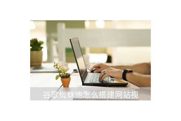 谷歌蜘蛛池 开发