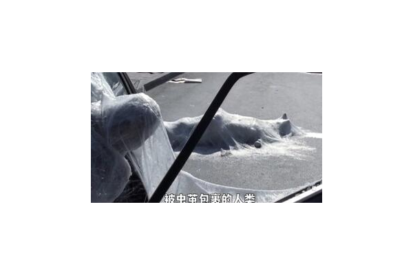 蜘蛛池里的害虫有哪些及如何防治