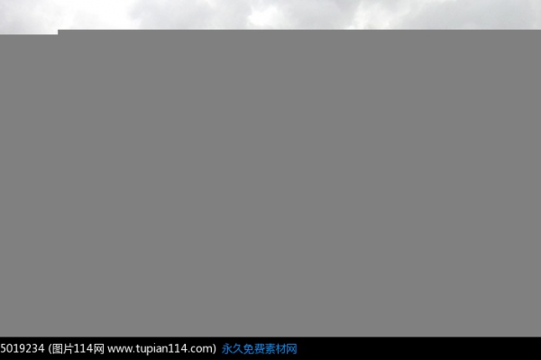 售卖蜘蛛池的软件