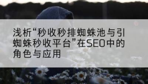 蜘蛛池5000个链接_快速收录蜘蛛池