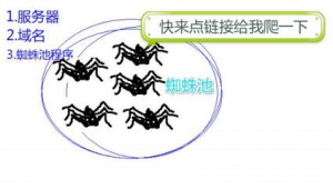 如何构建蜘蛛池_搭建蜘蛛池需要多少钱
