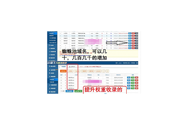 蜘蛛聚财_发财蜘蛛