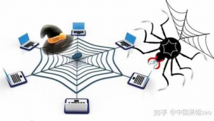 蜘蛛池出租包月寄生虫_蜘蛛体内寄生虫