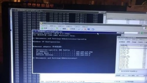 蜘蛛池 csdn