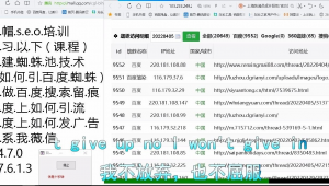 蜘蛛池怎么用_蜘蛛池秒收录