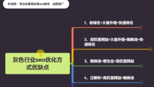 蜘蛛池怎么赚钱_快速收录蜘蛛池