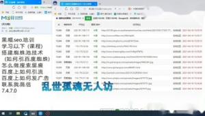 百度收录 蜘蛛池