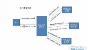 泛目录蜘蛛池_蜘蛛池平台