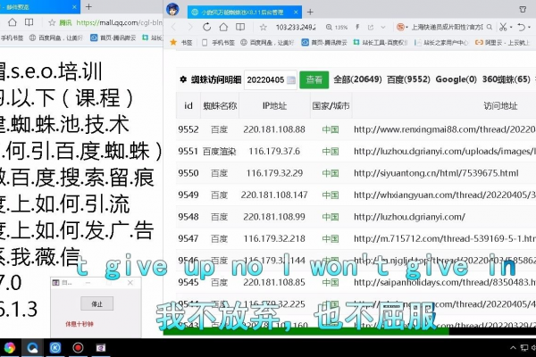 discuz 蜘蛛池