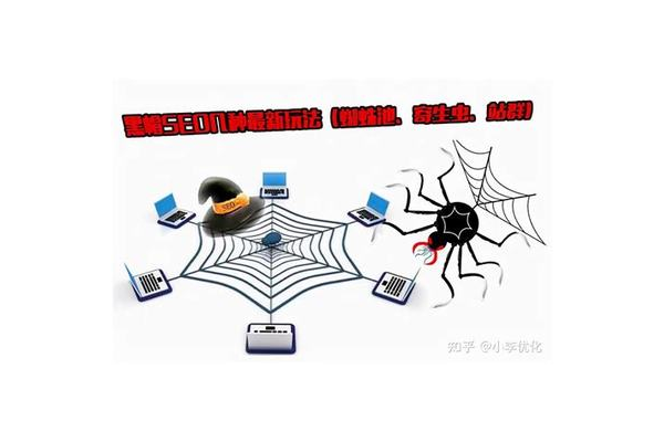 蜘蛛池要搞多久