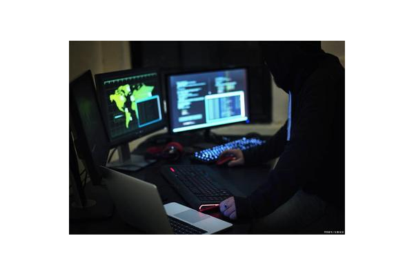 蜘蛛池会被惩罚吗