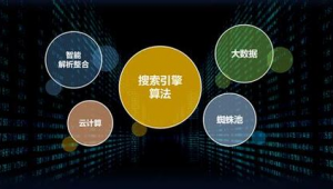 蜘蛛池工作原理详解_蜘蛛池5000个链接