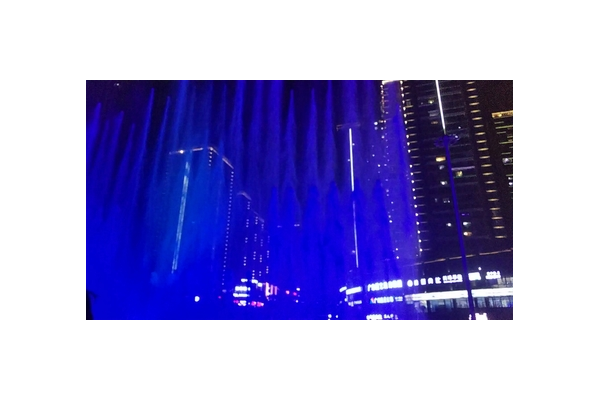 广东蜘蛛_蜘蛛池排名