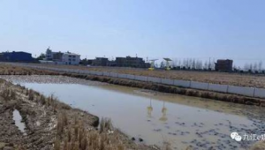 蜘蛛池的原理和实现方法_蜘蛛池作用
