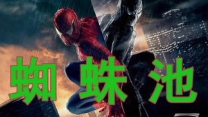 蜘蛛王标识_蜘蛛王纸牌游戏