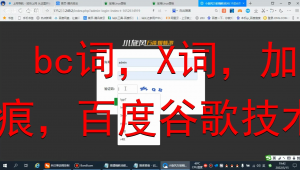 蜘蛛池收徒是什么意思啊_蜘蛛池新手入门