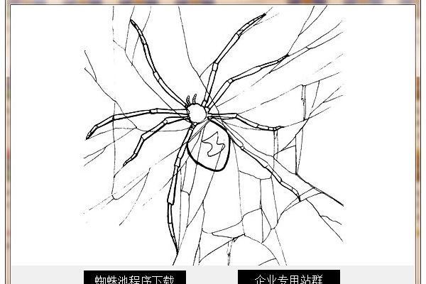 蜘蛛鼻子灵敏吗_鼻子出现蜘蛛痣