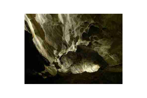 重庆蜘蛛池租用包月:高性价比之选,助力网站流量提升