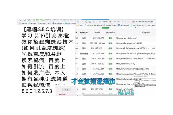 蜘蛛池IP如何设置效果最佳?这些要点不可不知
