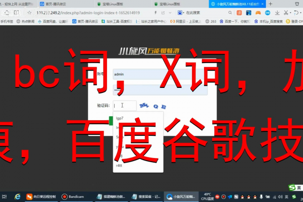 蜘蛛池新手入门_秒收蜘蛛池