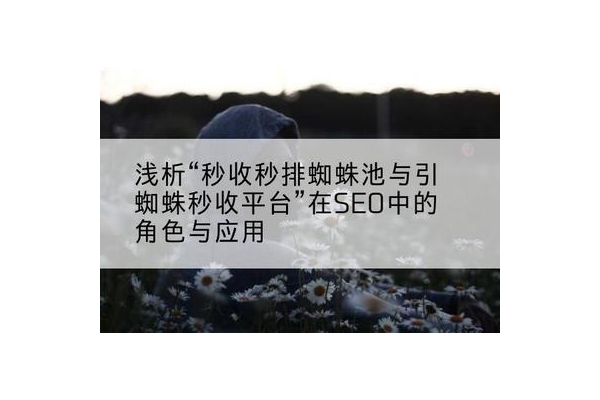 蜘蛛池5000个链接_蜘蛛池排名