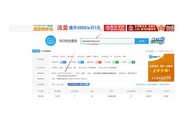 网站蜘蛛池怎么做的_免费蜘蛛池