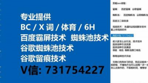 蜘蛛池出租需要多少钱一天_2020蜘蛛池出租