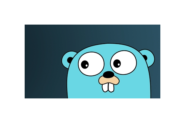 golang 蜘蛛池