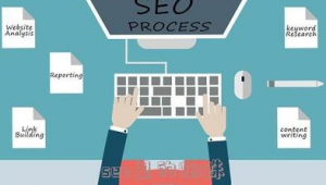 百度蜘蛛池是什么_seo_seo技术蜘蛛屯