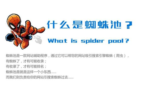蜘蛛池 没蜘蛛