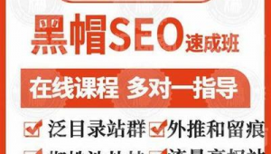 免费蜘蛛池seo 优化
