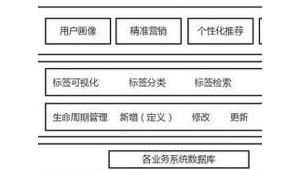 如何构建蜘蛛池视频_蜘蛛池新手入门