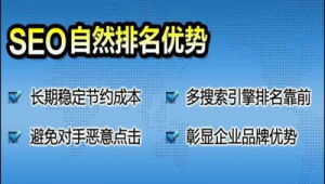 一个蜘蛛池的成本_蜘蛛池工具全首上海百首