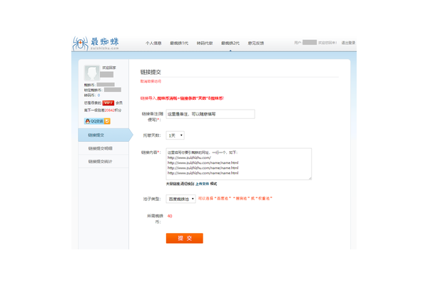 网站使用蜘蛛池
