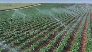 红蜘蛛池怎么使用视频_红蜘蛛使用教程