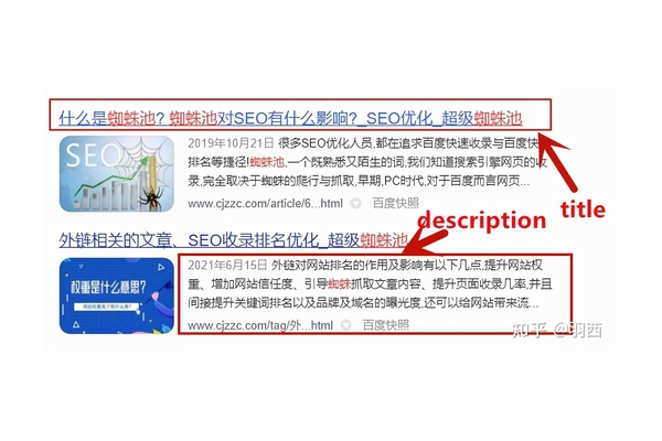 什么是超级蜘蛛池